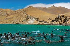 Paracas